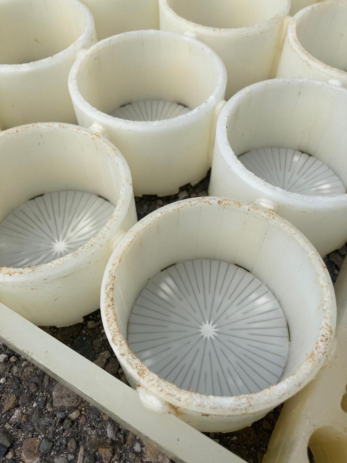 Cheese mould frame